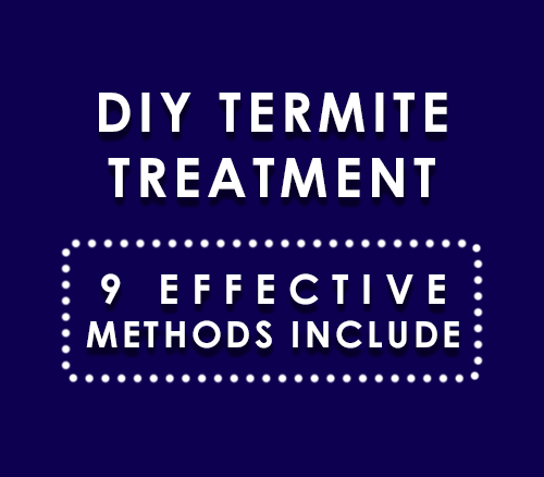 diy termite treatment