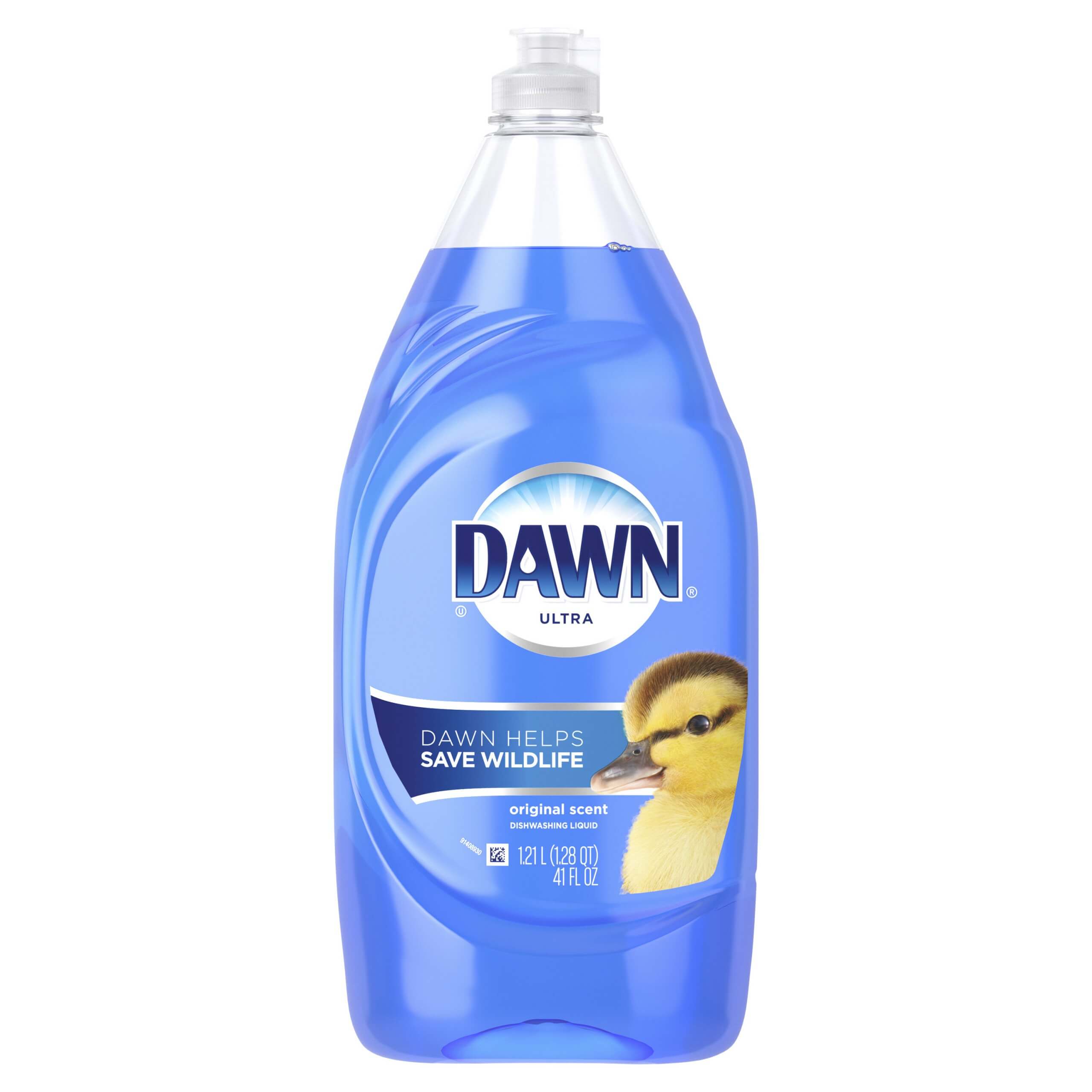 gnat treatment with dawn dish soap